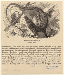 Image ID 815332