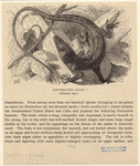 Image ID 815332