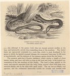 Image ID 815335