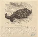 Image ID 815336