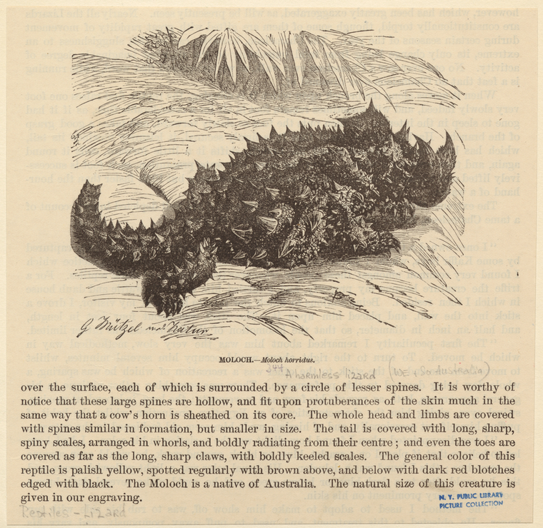 Image ID 815336
