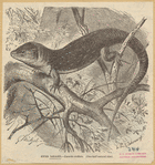 Image ID 815339