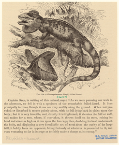 Image ID 815340