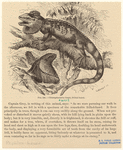 Image ID 815340