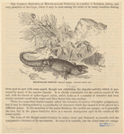 Image ID 815341