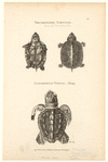 Image ID 815345