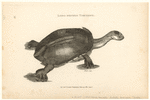 Image ID 815346