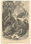 Image ID 815349