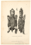 Image ID 815350
