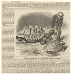 Image ID 815355