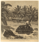 Image ID 815356