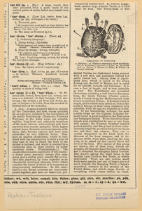 Image ID 815361