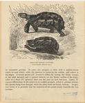 Image ID 815362