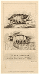 Image ID 815366