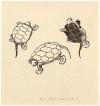 Image ID 815373