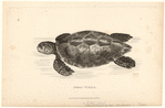Image ID 815381
