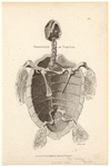 Image ID 815388