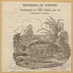 Image ID 815393