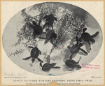 Image ID 815395