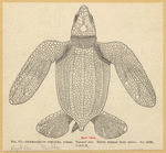 Image ID 815397