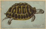 Image ID 815398