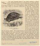 Image ID 815404