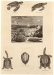 Image ID 815407