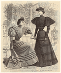 Image ID 816038