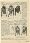 Image ID 816437