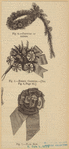 Image ID 817236