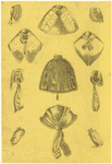 Image ID 817237