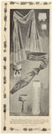 Image ID 817251
