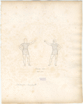 Image ID 817285