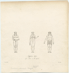 Image ID 817372