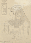 Image ID 817377