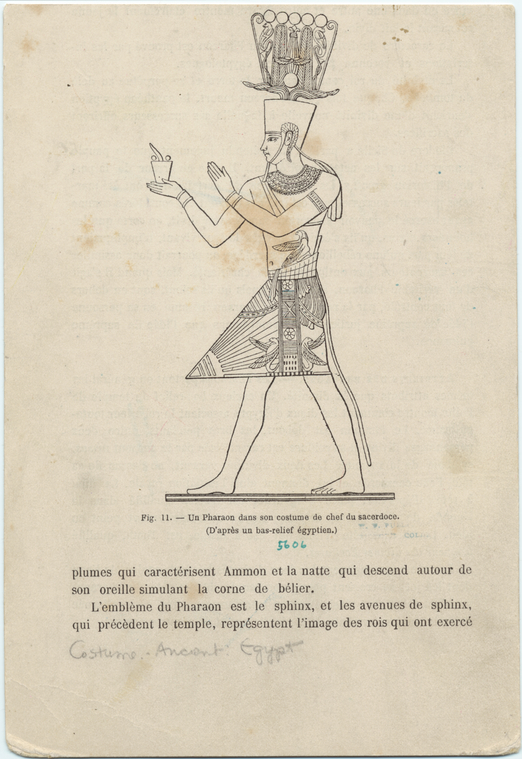 Image ID 817386
