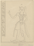 Image ID 817389