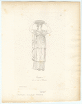 Image ID 817407