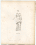Image ID 817410