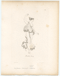 Image ID 817414