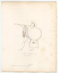Image ID 817427