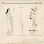 Image ID 817436
