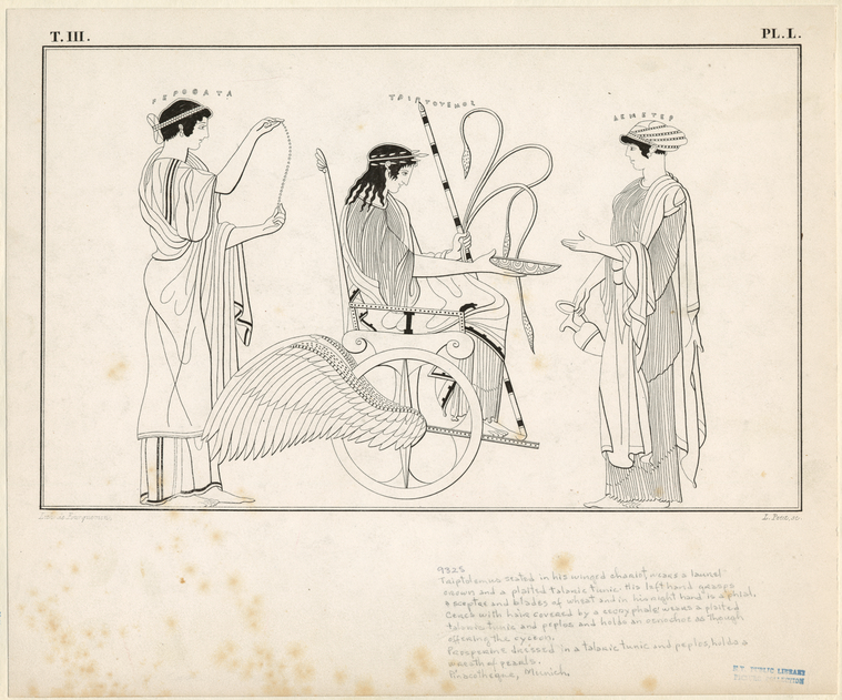 Image ID 817481
