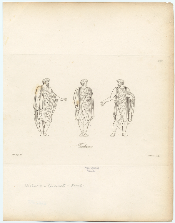 Image ID 817512

