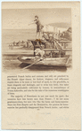 Image ID 817651