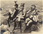 Image ID 817681
