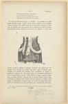 Image ID 817690