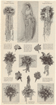 Image ID 817857