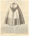 Image ID 817934