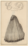 Image ID 817937